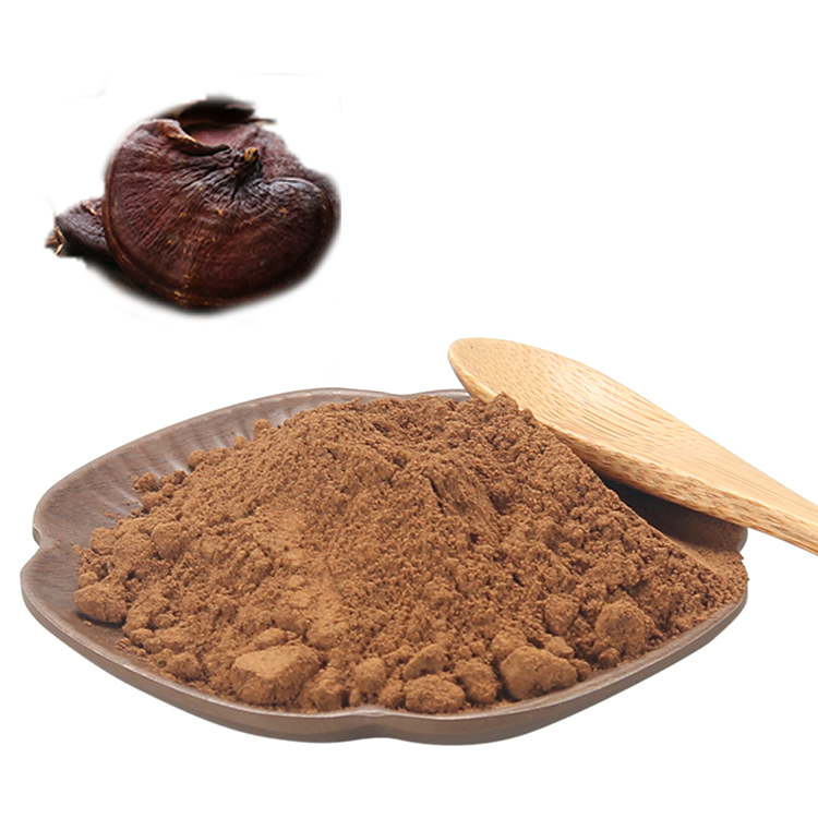 No Synthetic Ingredients USDA Certified Organic Red Reishi Mushroom Extract Powder